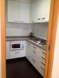 Amaryllis Ville (D11), Condominium #468475251